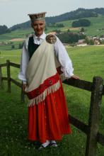 TDA Zīle pezidente - Gita